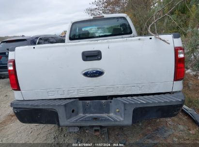 Lot #3004094744 2008 FORD F-250 LARIAT/XL/XLT