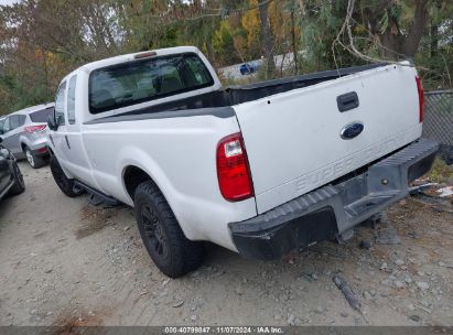 Lot #3004094744 2008 FORD F-250 LARIAT/XL/XLT