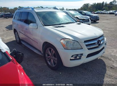 Lot #3050079973 2010 MERCEDES-BENZ GL 450 4MATIC