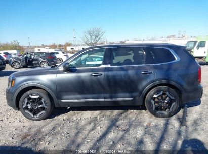 Lot #2992816391 2023 KIA TELLURIDE S