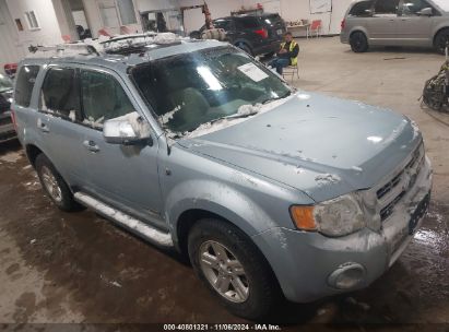 Lot #3046371731 2008 FORD ESCAPE HYBRID