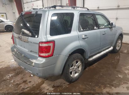 Lot #3046371731 2008 FORD ESCAPE HYBRID