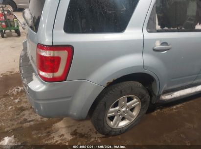 Lot #3046371731 2008 FORD ESCAPE HYBRID