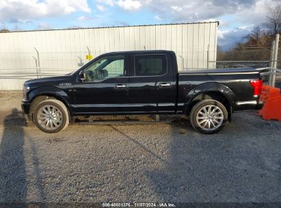 Lot #2995294435 2020 FORD F-150 LIMITED