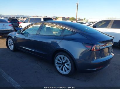 Lot #3035707881 2023 TESLA MODEL 3 REAR-WHEEL DRIVE