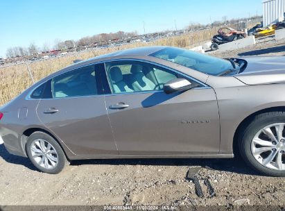 Lot #2989126712 2023 CHEVROLET MALIBU FWD 1LT