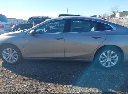 Lot #2989126712 2023 CHEVROLET MALIBU FWD 1LT