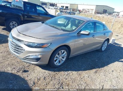 Lot #2989126712 2023 CHEVROLET MALIBU FWD 1LT