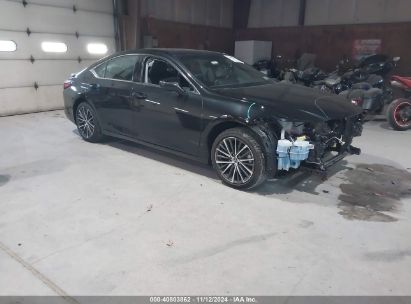 Lot #3005345690 2023 LEXUS ES 300H