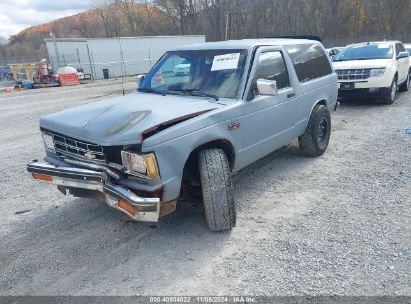 Lot #2995294653 1990 CHEVROLET BLAZER S10