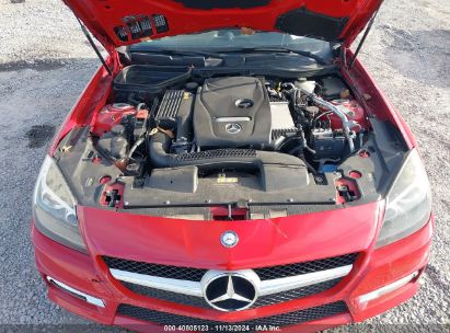 Lot #3037545035 2016 MERCEDES-BENZ SLK 300