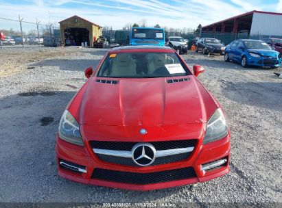 Lot #3037545035 2016 MERCEDES-BENZ SLK 300