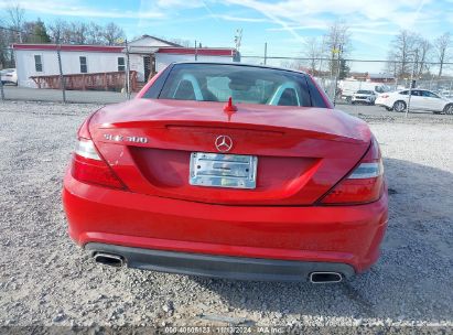 Lot #3037545035 2016 MERCEDES-BENZ SLK 300