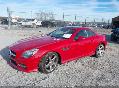 Lot #3037545035 2016 MERCEDES-BENZ SLK 300