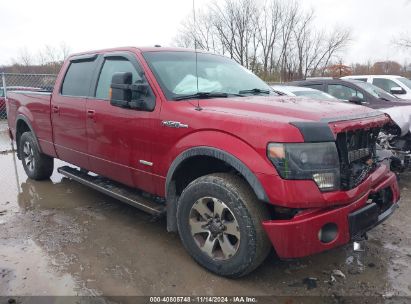 Lot #3035095671 2014 FORD F-150 FX4