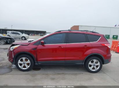 Lot #3035083669 2014 FORD ESCAPE SE