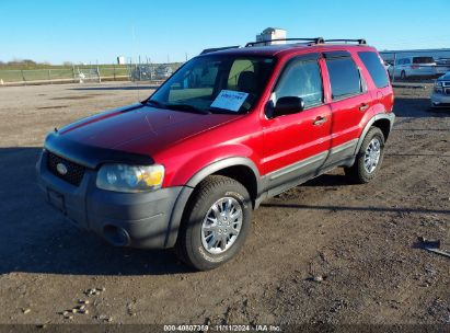 Lot #3035083873 2005 FORD ESCAPE XLT