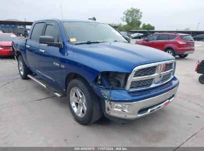 Lot #3035083859 2009 DODGE RAM 1500 SLT/SPORT/TRX