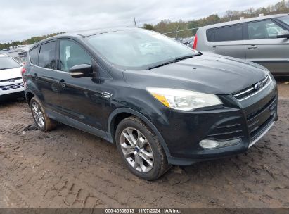 Lot #2995294694 2013 FORD ESCAPE SEL