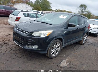 Lot #2995294694 2013 FORD ESCAPE SEL