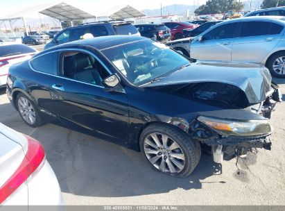 Lot #3035094763 2010 HONDA ACCORD 3.5 EX-L