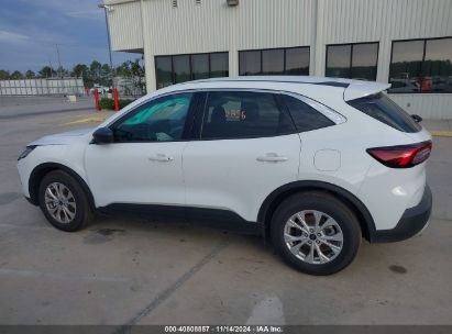 Lot #2995280049 2024 FORD ESCAPE ACTIVE