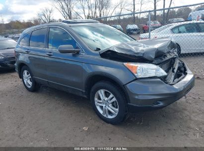 Lot #2995294672 2011 HONDA CR-V EX-L