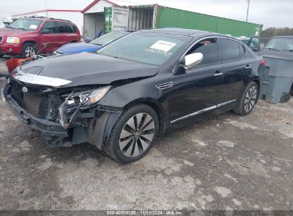 Lot #3035072581 2011 KIA OPTIMA EX