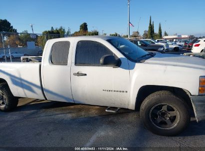 Lot #2990356451 2009 CHEVROLET SILVERADO 1500 WORK TRUCK