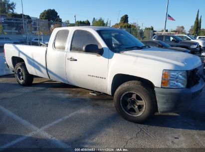 Lot #2990356451 2009 CHEVROLET SILVERADO 1500 WORK TRUCK