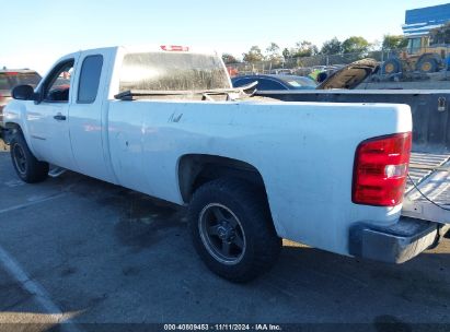 Lot #2990356451 2009 CHEVROLET SILVERADO 1500 WORK TRUCK