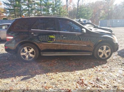 Lot #3005345897 2011 MERCEDES-BENZ ML 350 4MATIC