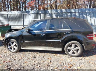 Lot #3005345897 2011 MERCEDES-BENZ ML 350 4MATIC