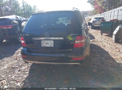 Lot #3005345897 2011 MERCEDES-BENZ ML 350 4MATIC