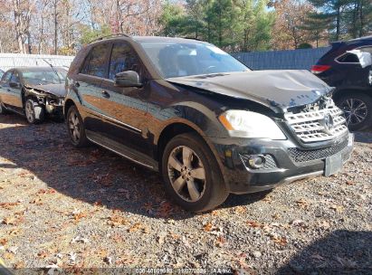 Lot #3005345897 2011 MERCEDES-BENZ ML 350 4MATIC