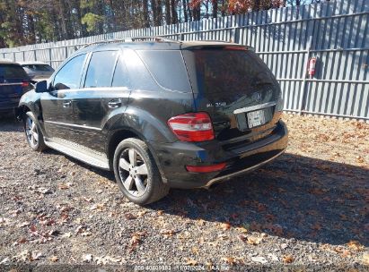 Lot #3005345897 2011 MERCEDES-BENZ ML 350 4MATIC