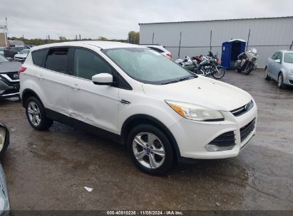 Lot #3035083763 2013 FORD ESCAPE SE