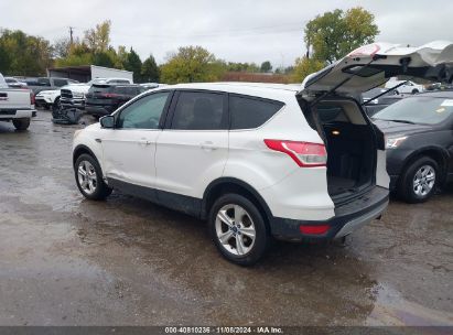 Lot #3035083763 2013 FORD ESCAPE SE