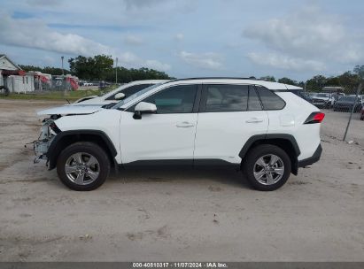 Lot #3056069515 2024 TOYOTA RAV4 HYBRID XLE