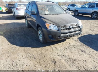 Lot #2995294631 2010 TOYOTA RAV4