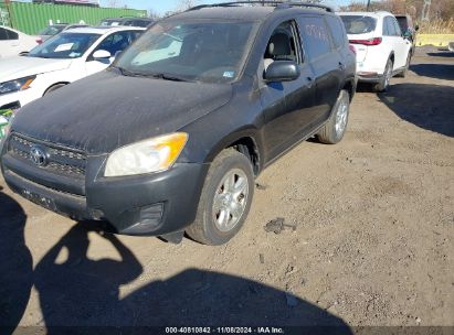 Lot #2995294631 2010 TOYOTA RAV4