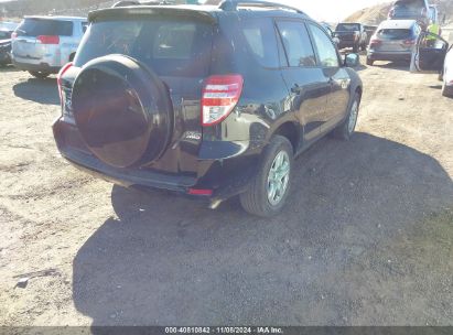 Lot #2995294631 2010 TOYOTA RAV4