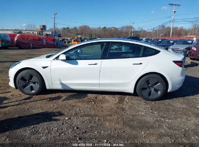 Lot #3034472693 2023 TESLA MODEL 3 REAR-WHEEL DRIVE