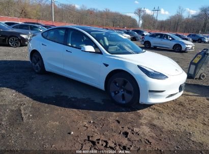 Lot #3034472693 2023 TESLA MODEL 3 REAR-WHEEL DRIVE