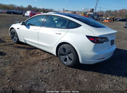 Lot #3034472693 2023 TESLA MODEL 3 REAR-WHEEL DRIVE