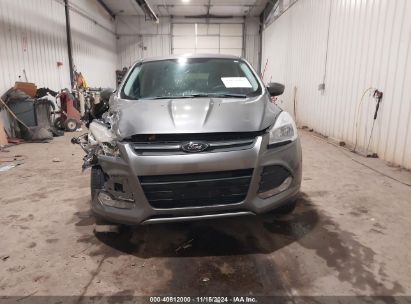 Lot #3053063354 2014 FORD ESCAPE SE