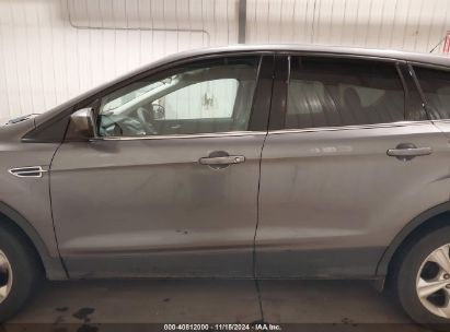 Lot #3053063354 2014 FORD ESCAPE SE