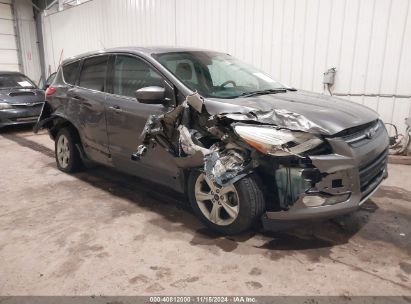 Lot #3053063354 2014 FORD ESCAPE SE