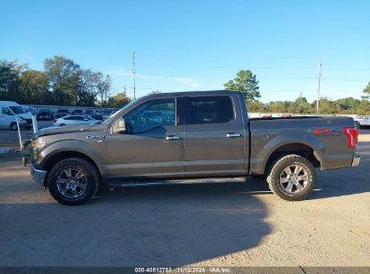 Lot #3035083651 2016 FORD F-150 XLT