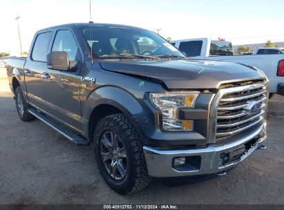 Lot #3035083651 2016 FORD F-150 XLT